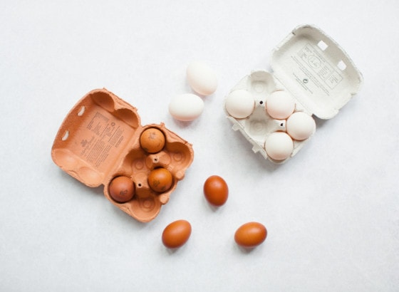 eggs