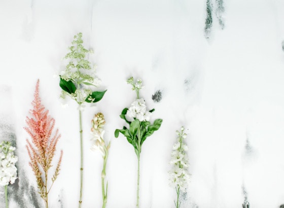 flower arrangement