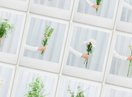 Flowers on film stock photography