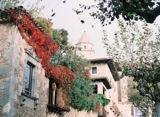 Autumn leaves in Spain