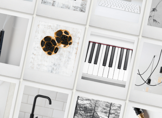 monochrome stock photography