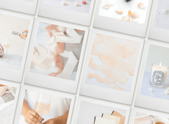 peach stock photography