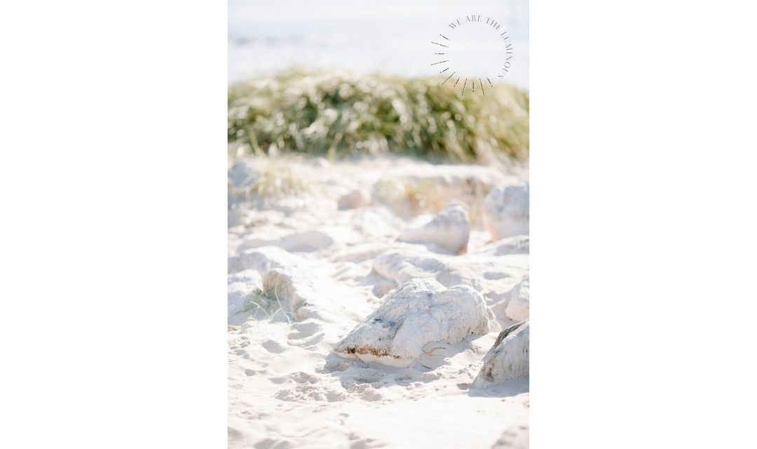 rocks on beach stock photo