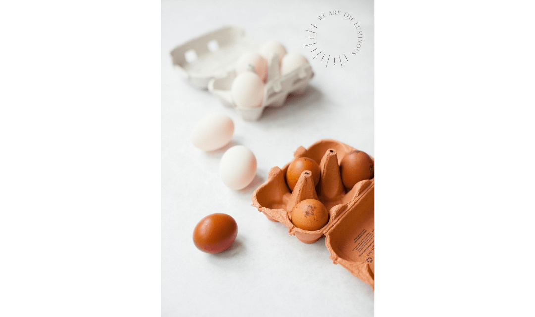 white and brow eggs stock photos