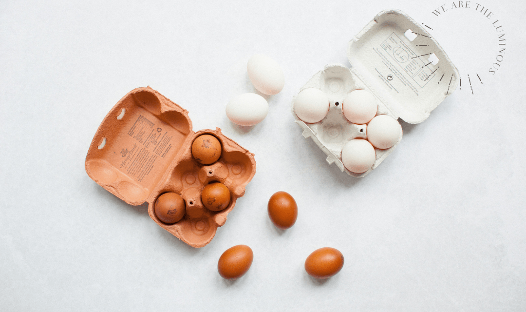 white and brown eggs stock photo