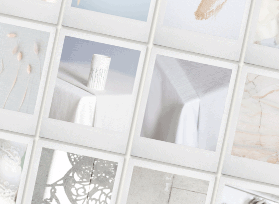 Artistic neutrals styled stock photography