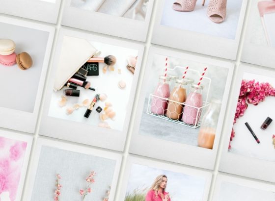 pink stock photography