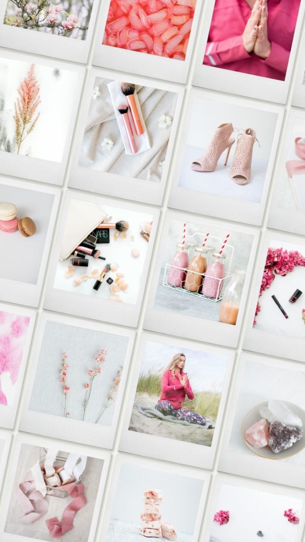 pink stock photography