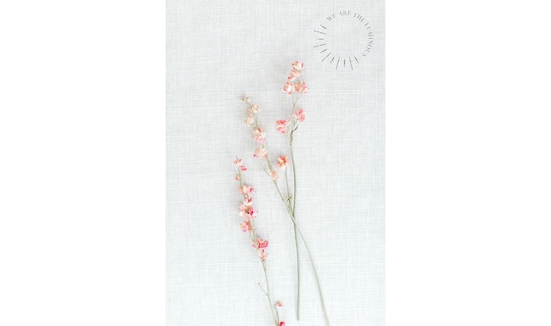 pink flowers stock