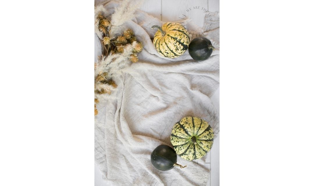 pumpkin flat lay
