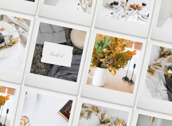 Thanksgiving stock photography