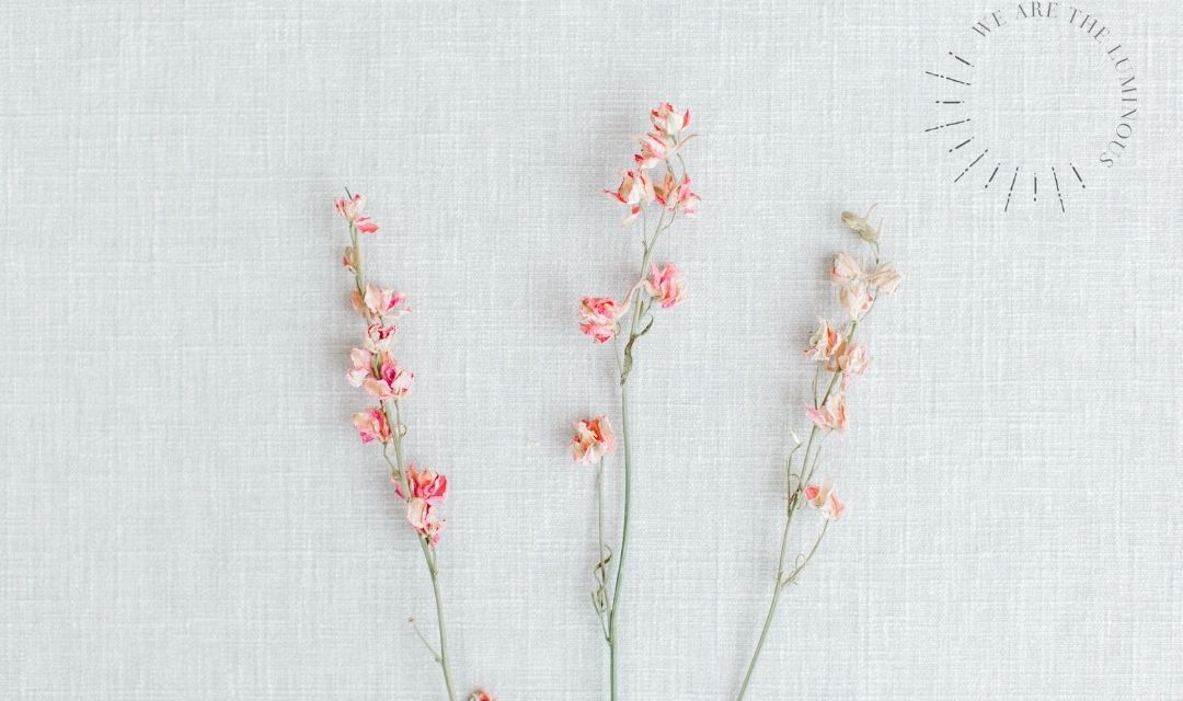 pink flowers