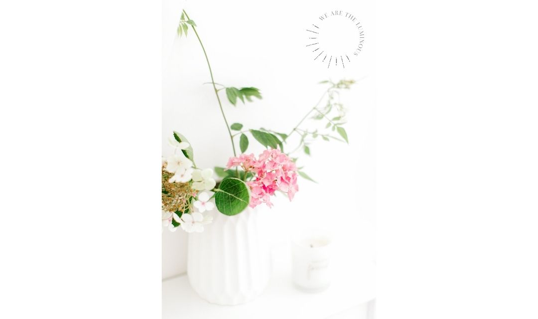 flowers in vase
