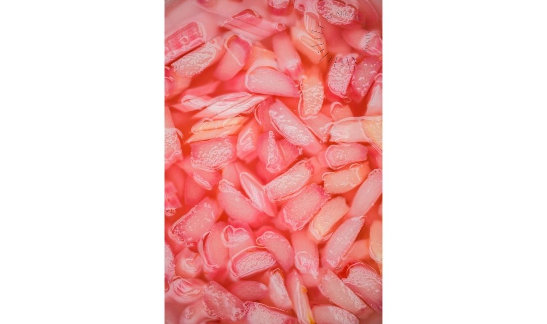 pink rhubarb