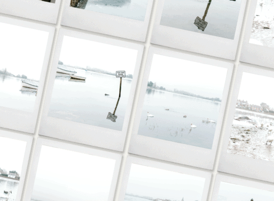 winter stock photography