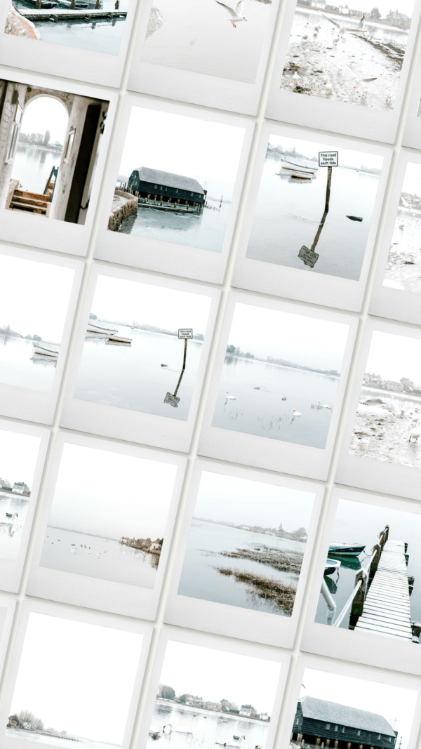 winter stock photography