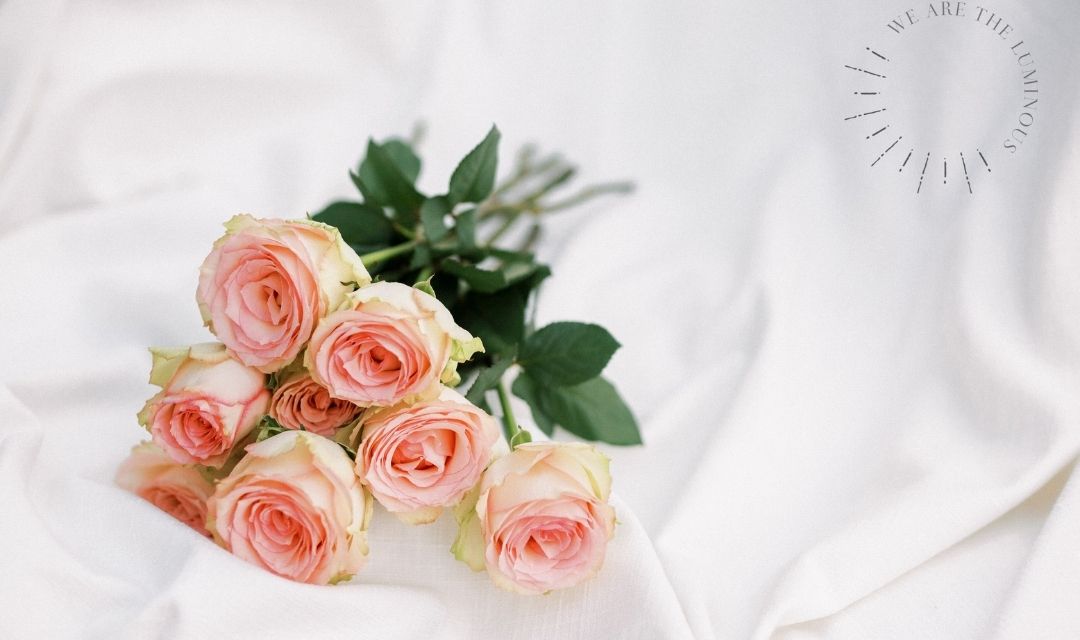 pink Valentine's Day roses