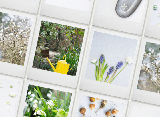 Spring stock photography
