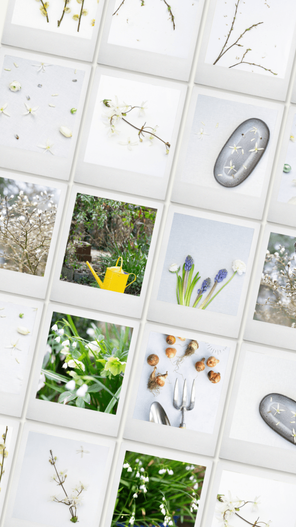 Spring stock photography