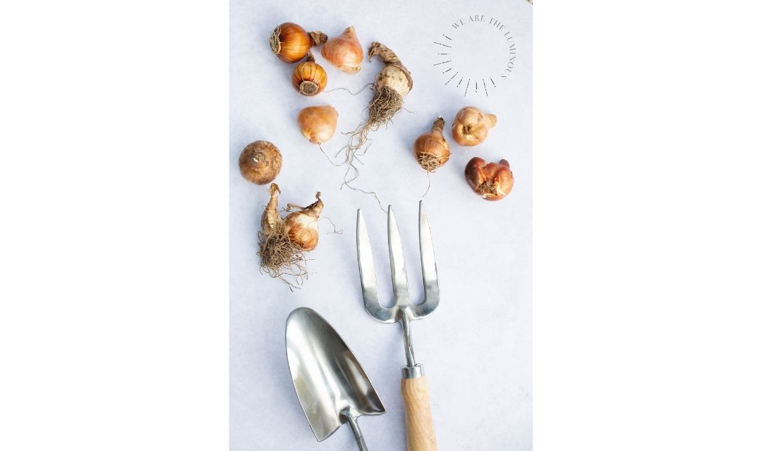 Gardening stock photo