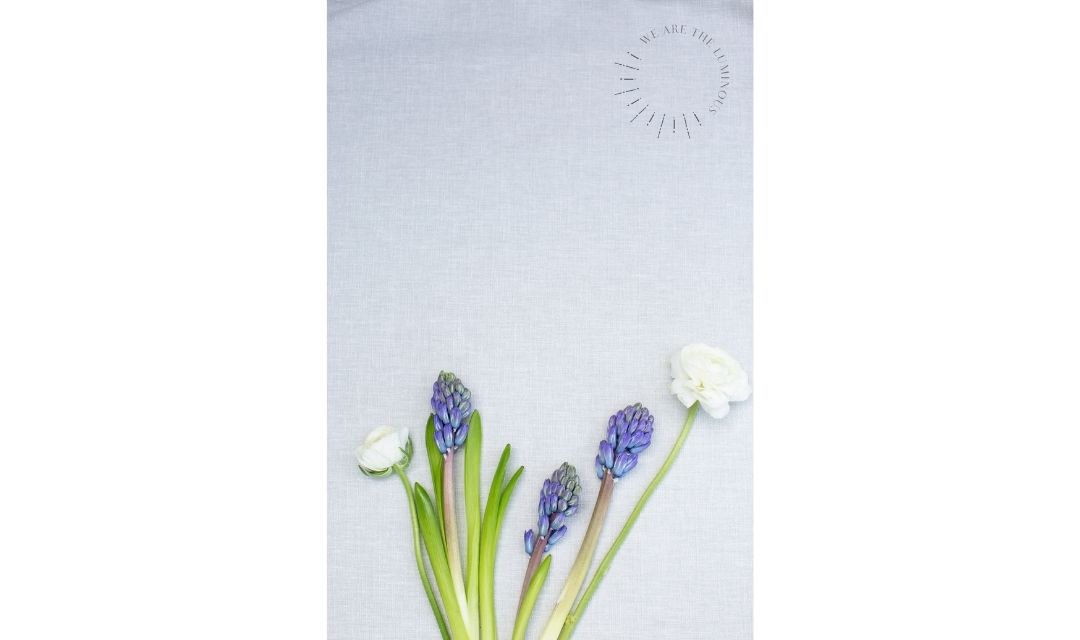 Spring flower stock photo