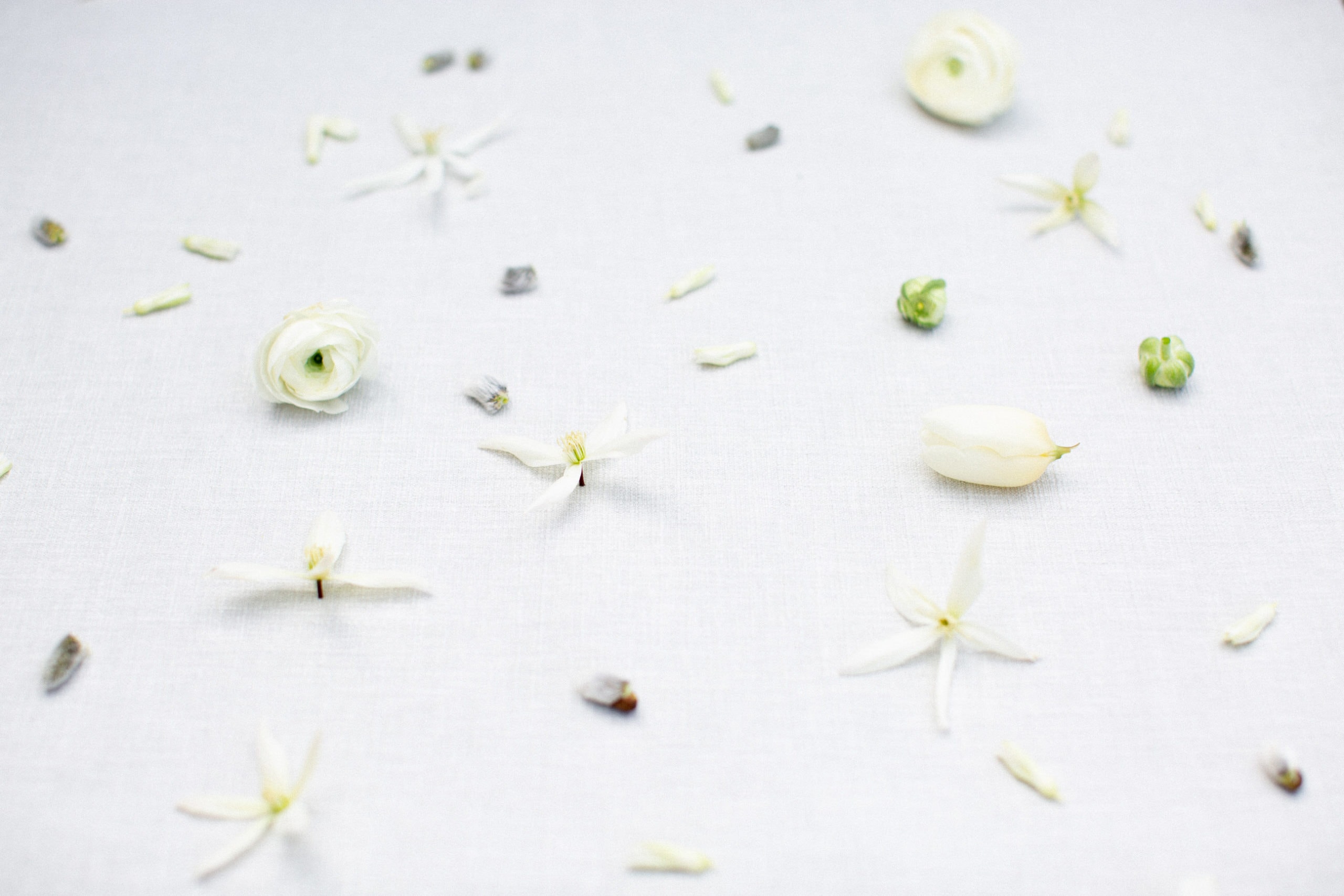 white spring flowers